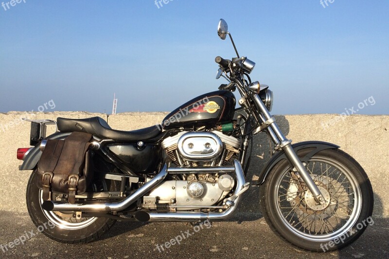 Sportster Harley Harley Davidson Motorcycle Harley-davidson