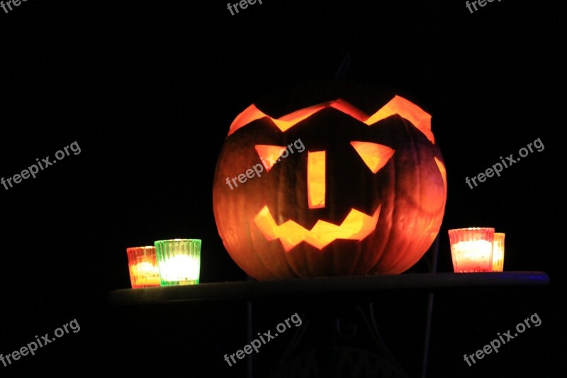 Halloween Pumpkin Autumn Vegetables Harvest