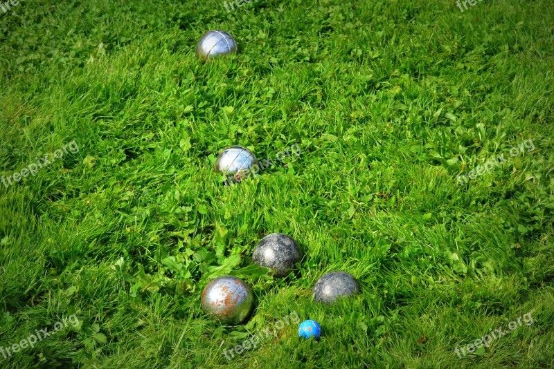 Pétanque Grass Balls Game Free Photos