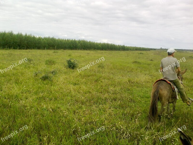 Cowboy Pasture Landscape Free Photos