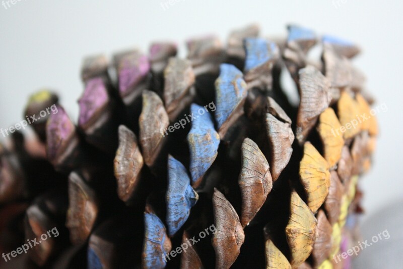 Cone Decoration Nature Wood Colorful