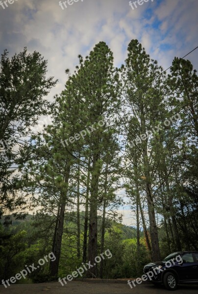 Trees Sky Clouds Wide Angle Nature