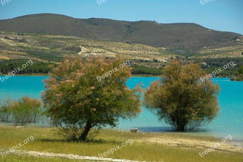 Andalusia Los Bermejales Lake Arenas Del Rey Free Photos