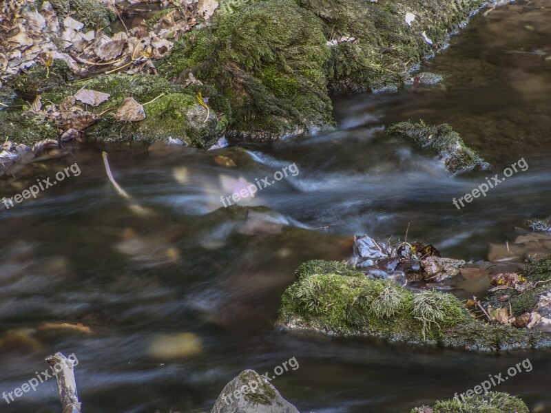 Water Danube River Free Photos