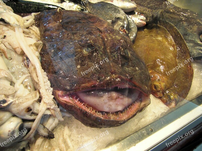 Monkfish Fish Ugly Fish Market Fresh