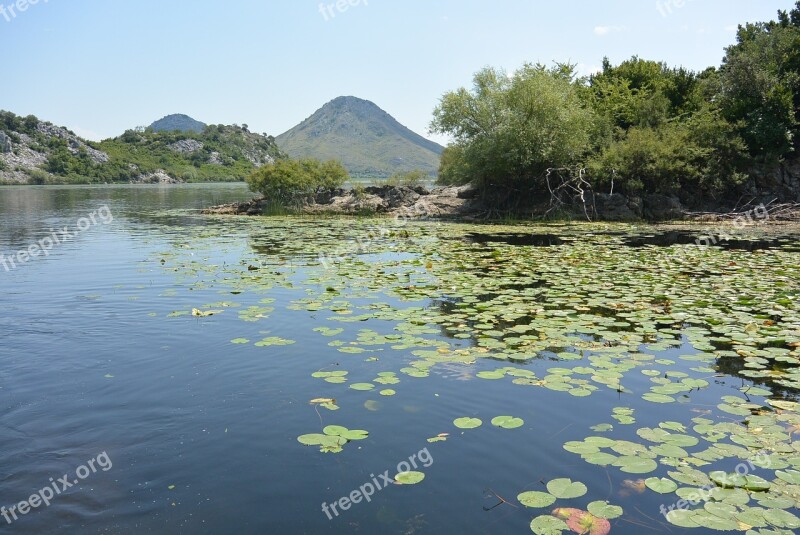 Skadar Lake Montenegro Journey Cruise Water