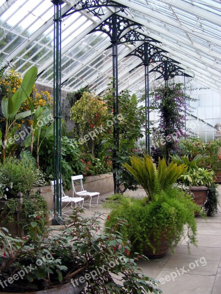 Glasshouse Greenhouse Plant Hothouse Horticulture