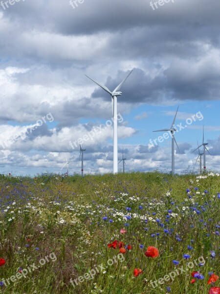 Wind Energy Sky Flowers Clouds