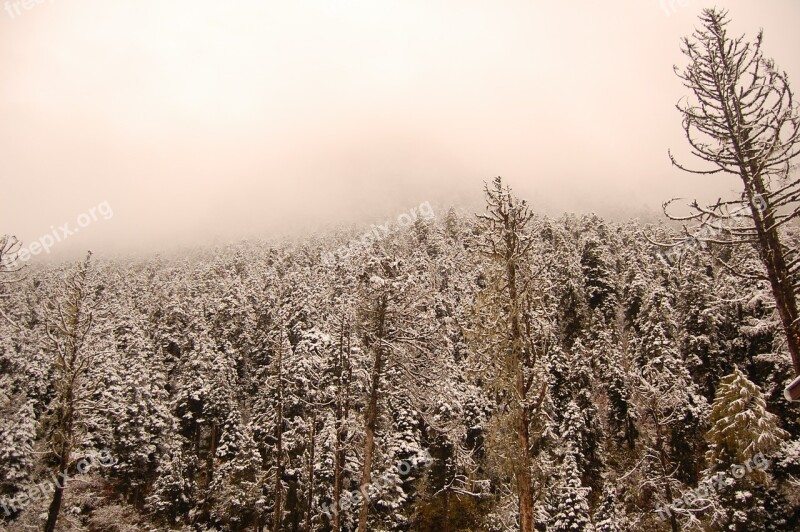 Snow Mountain Woods Artistic Conception Views Free Photos