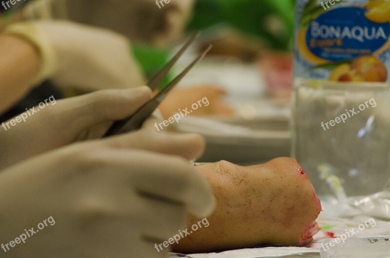 Medical Science University Surgery Free Photos