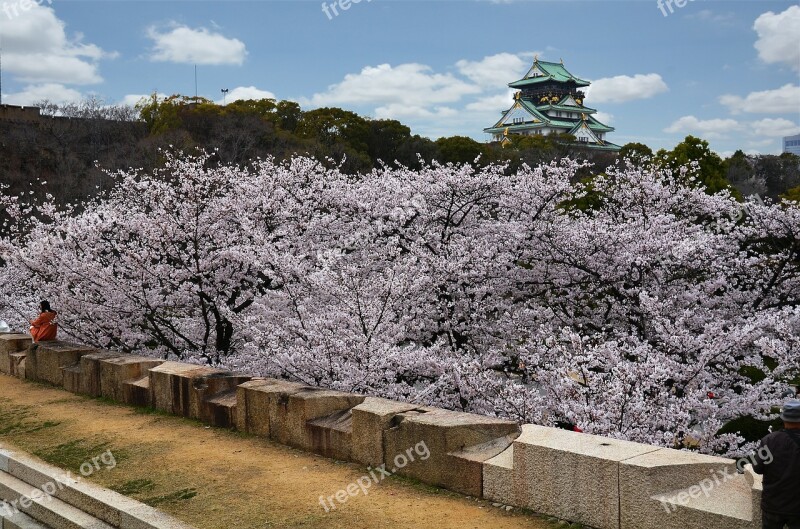 Osaka Osaka Castle Castle Landmark Japanese