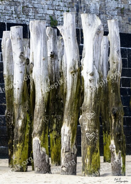 Breakwater Beach St-malo Saint Malo Wood