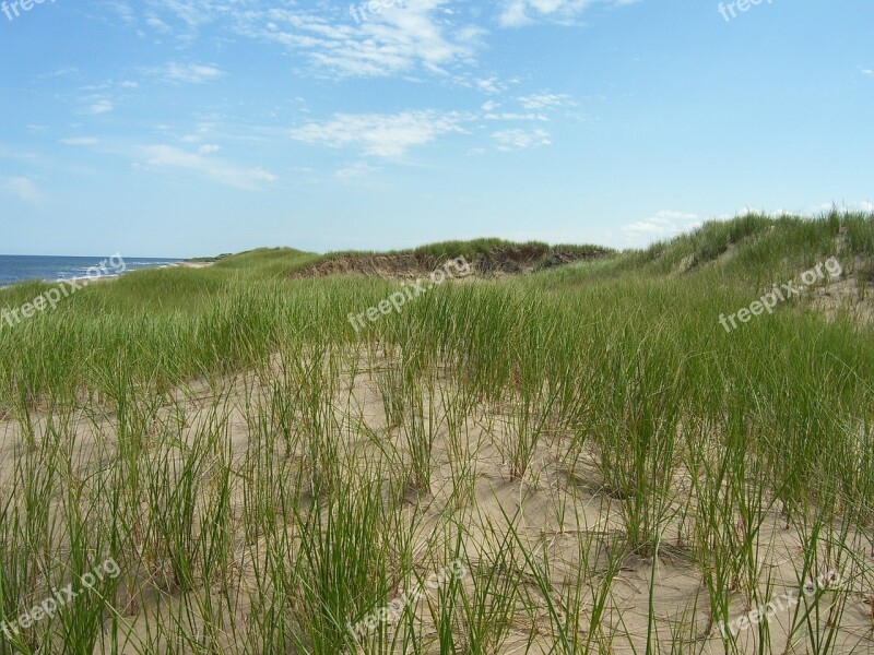 Dune Sand Beach Seashore Grass