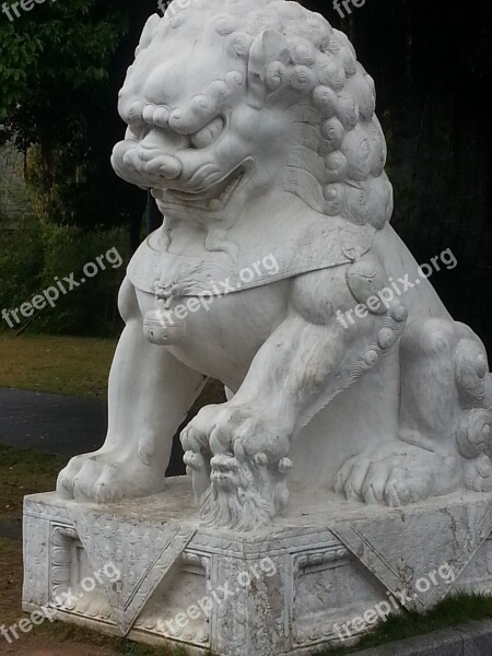 Lion Stone Statue China Asia