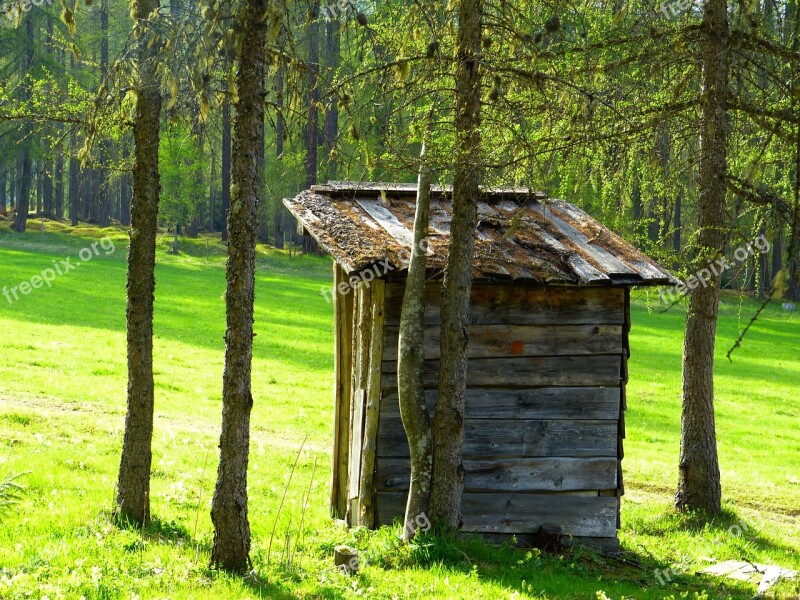 Hut Old Hunter Was Wood Forest