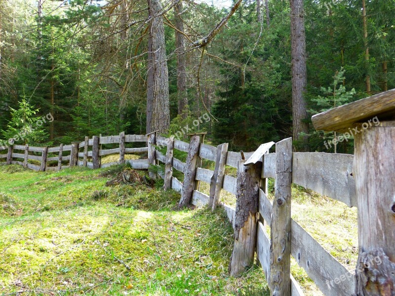 Fence Plank Fence Limit Wood Free Photos