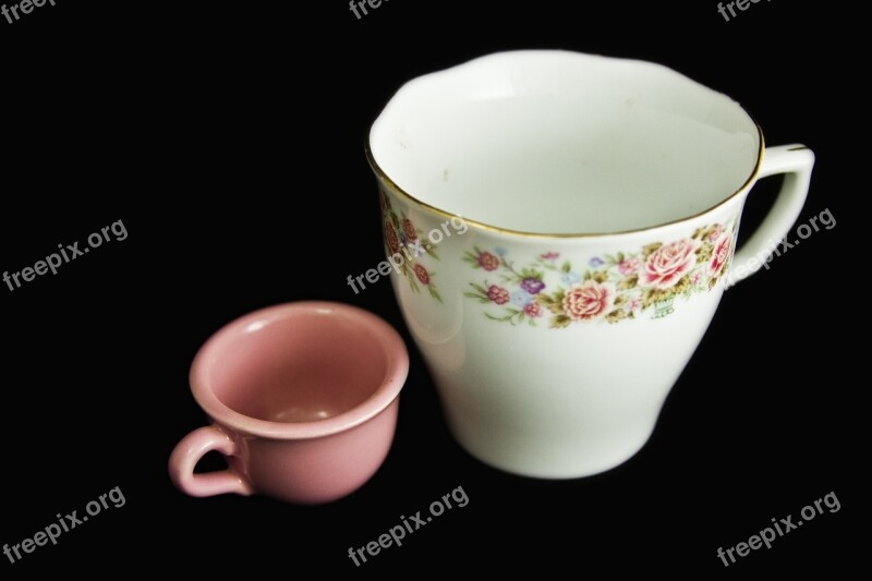 Tea Cup Cup Roses Miniature China