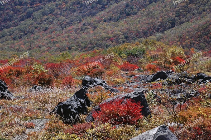 Autumn Autumnal Leaves Landscape Valley Rock