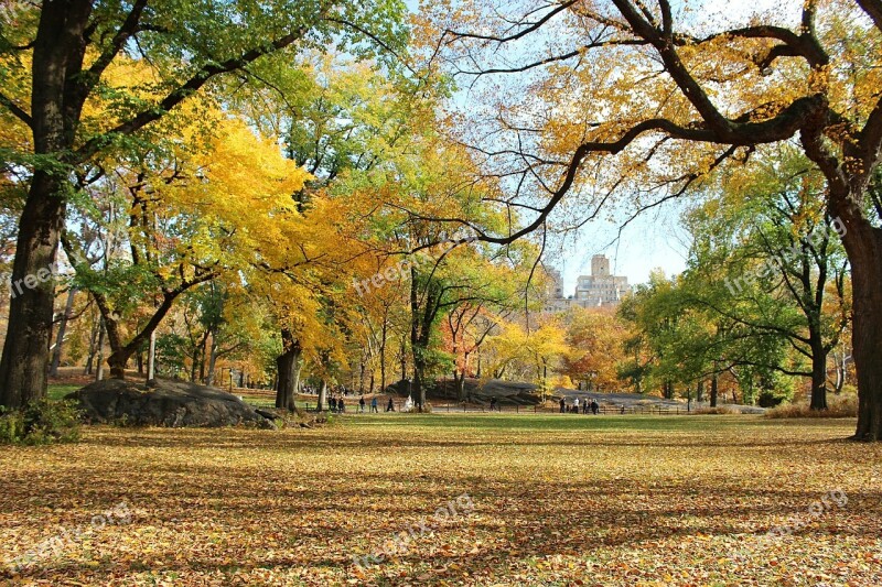 Trees Central Park Manhattan New York Fall