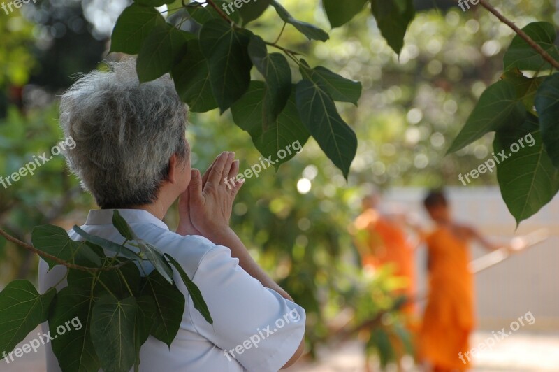 Pray Thailand Woman Buddhist Temple