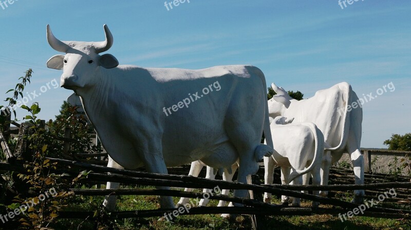 Sculpture Cows White Free Photos