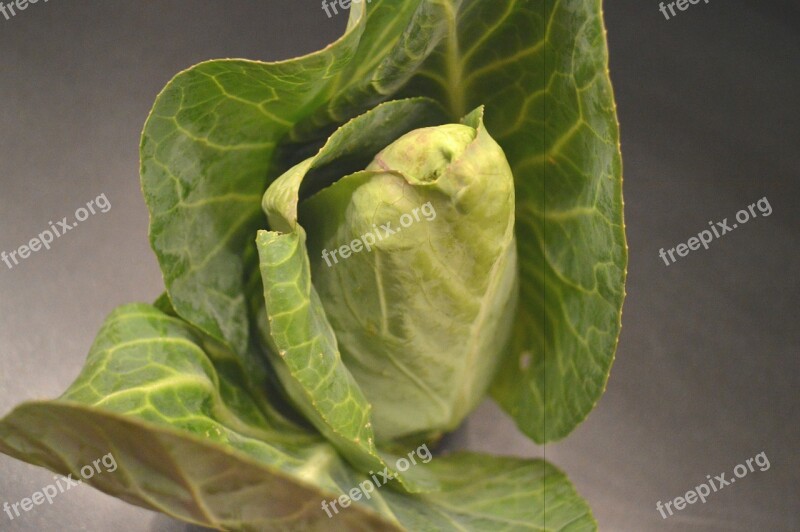 Pointed Cabbage Kohl Vegetables Food Eat