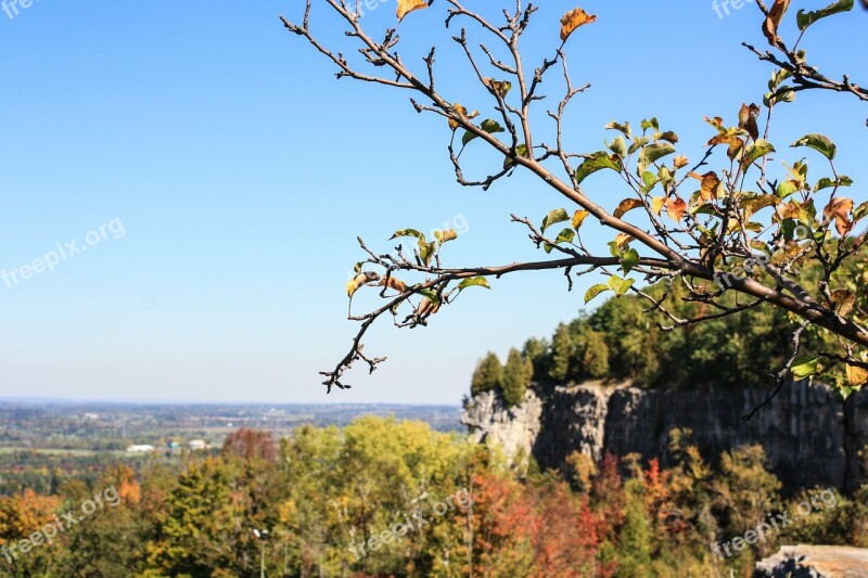 Nature Outdoor Landscape Kelso Tree