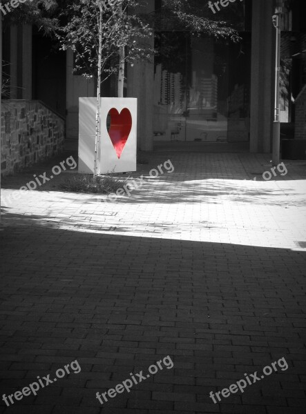 Heart Red Black And White Romance Valentine