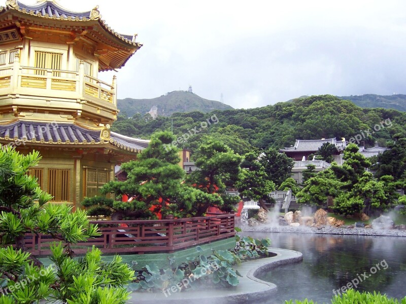 Hong Kong Garden Landscape Asia Tree