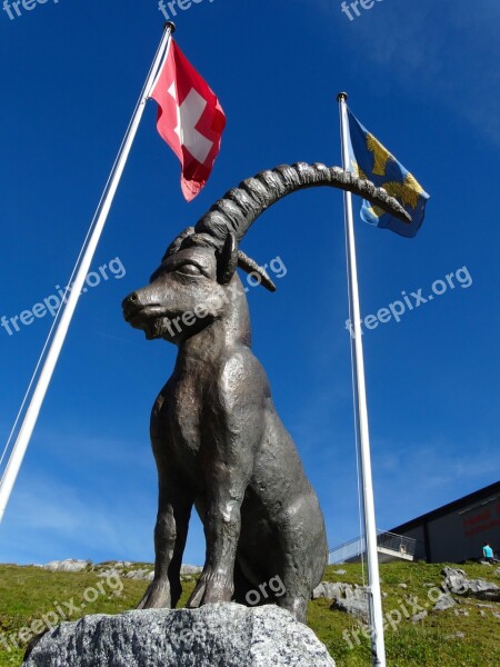 Capricorn Alpine Alpine Lake Switzerland Mountains