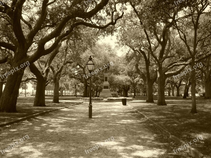 Park Charleston South Carolina Free Photos