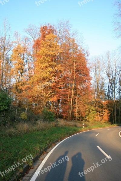 Shadow Play Human Autumn Road Colorful