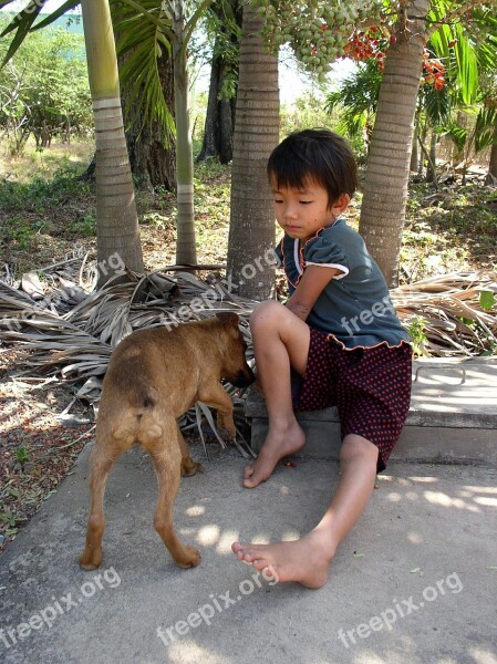 Kid Dog Feed Feeding Girl