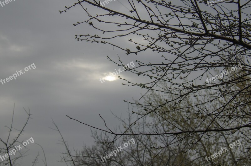 Twilight Evening Sky Spring April