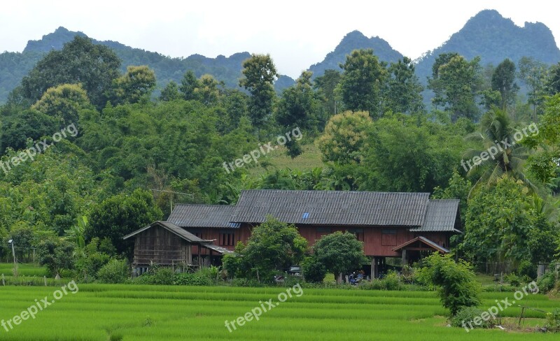 Traditional House Peasant Thailand Free Photos