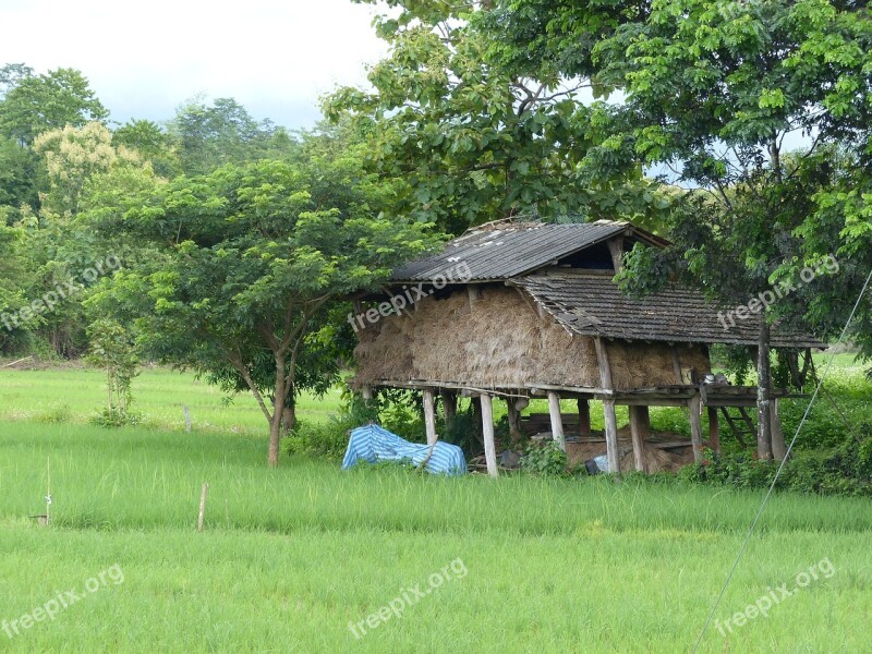 Rice Granary Lampang Thailand Free Photos