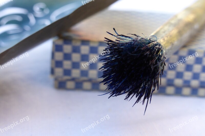 Brush Blue Fibers Violet Bristles