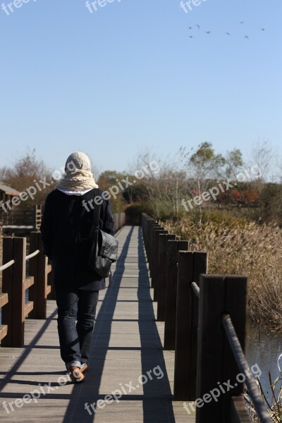 Loneliness Walking Walk Autumn Free Photos