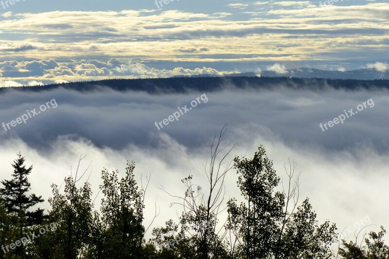 Landscape Fog Bank Clouds Sky Nature