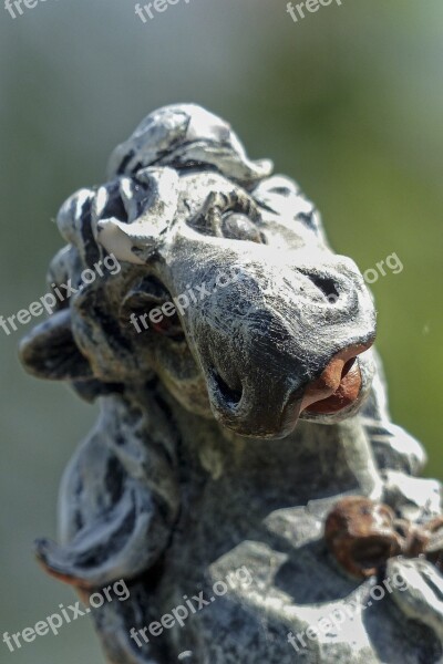 Horse Funny Statue Close Up Decoration