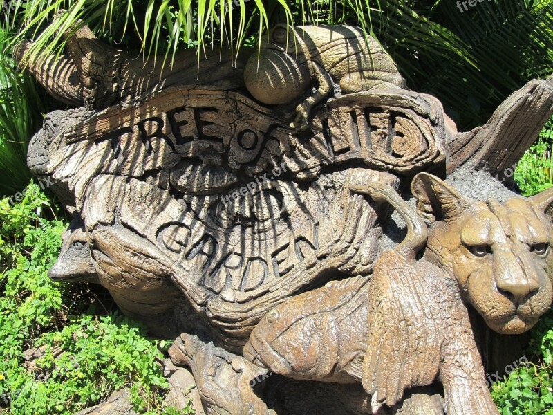 Tree Of Life Garden Tree Wood National Park Disneyland