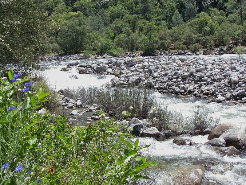 Water River Stream Landscape Natural