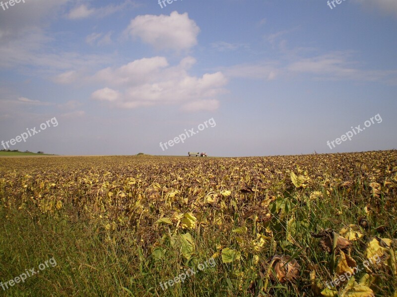 Harvest Autumn Tractor Free Photos