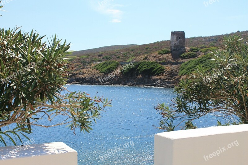 Sardinia Sea Island Asinara Holiday Free Photos