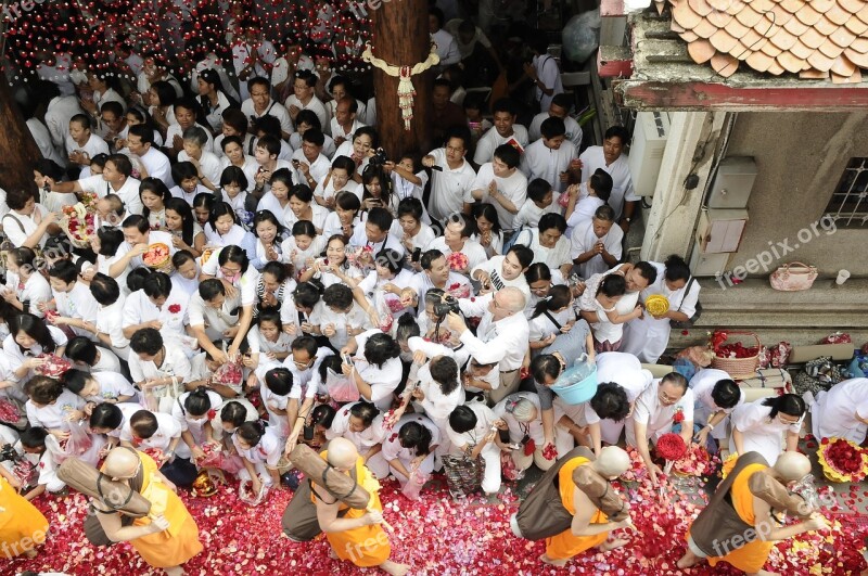 Monks Buddhists Walk Rose Petals Thailand