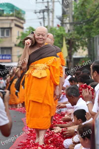 Monks Buddhists Walk Rose Petals Thailand