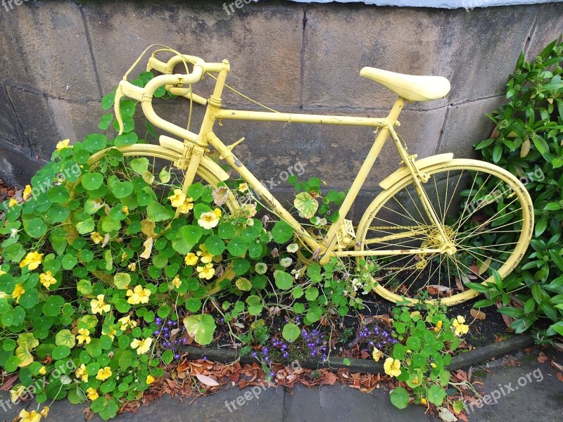 Bicycle Yellow Old Wheels Bike