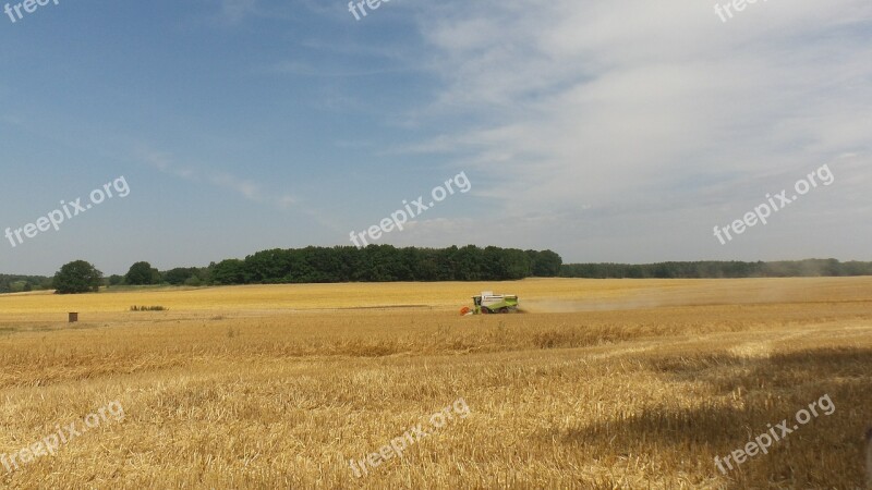 Landscape Harvest Field Cornfield Clouds