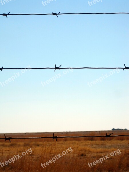 Barbed Wire Wire Fence Barbed Sharp