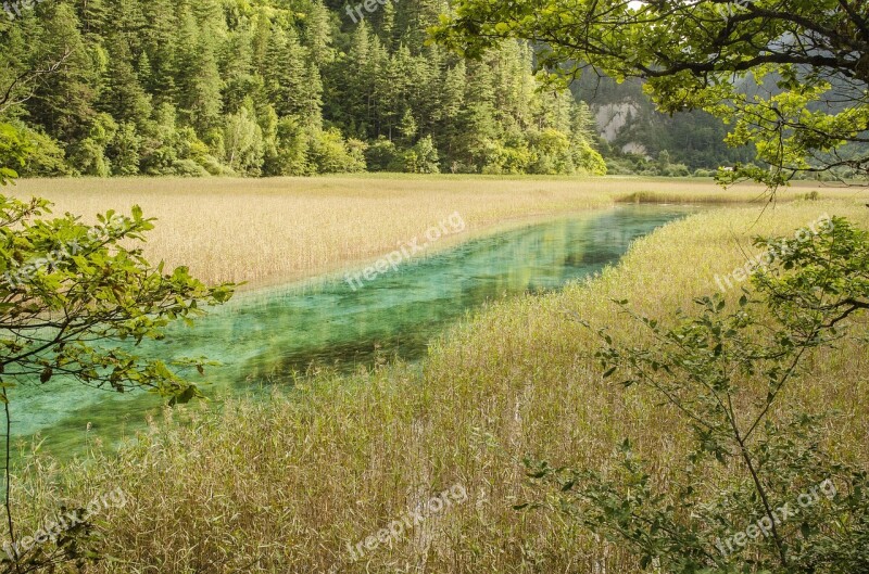 Jiuzhaigou Reed Sea The Scenery Free Photos